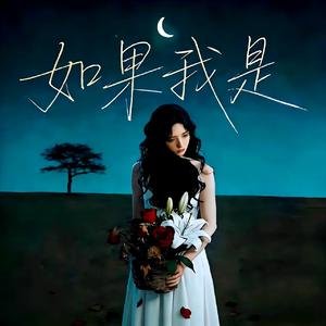 如果我是