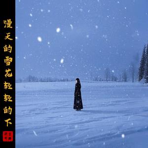 漫天的雪花轻轻的下