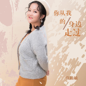 你从我的身边走过 (伴奏)