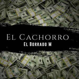 El Cachorro