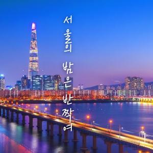 서울의 밤은 반짝여