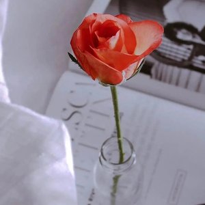 妈妈的吻钢琴版