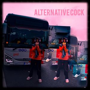 Na náhody já nevěřím (Radio Edit)