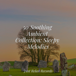 Silent Solace's Sweet Siren