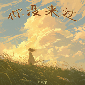 你没来过 (欢快版)