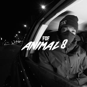ANIMAL 8