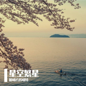 孤注一掷的月光