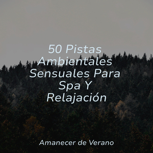 El Vals Invernal del Crepúsculo