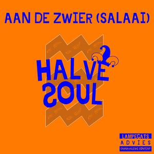 Aan de zwier (salaai)