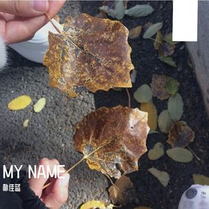 情人（Cover.蔡徐坤）