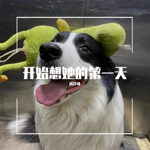 hfngnsjng