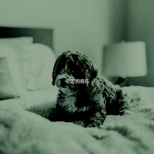 诗意的小狗节奏