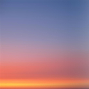 All the Words I Didn’t Say