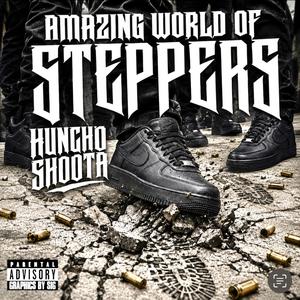 Amazing World Of Steppers