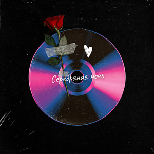 Серебряная ночь