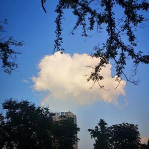 吴海啸-Melody Remiy