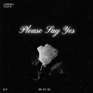 Please Say Yes (Sped Up Version)