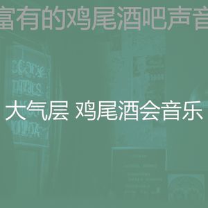 精彩鸡尾酒吧环境