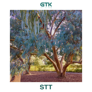 STT (Extended)