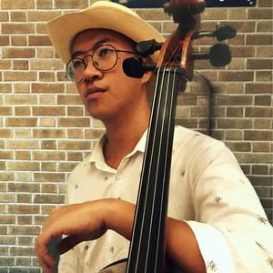 月亮代表我的心（大提琴无伴奏独奏）