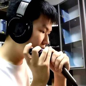 fallin flower 半音阶口琴(2.0)