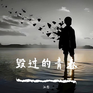 毁过的青春