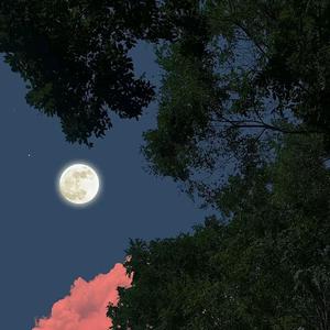 爱意（弹唱版）