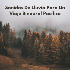 Día Lluvioso En Un Viaje Consciente