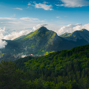 听雨入梦（古筝）