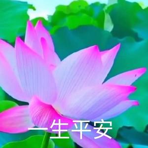 群星-《梁祝》提沉组合（咕叽咕叽霸 remix）