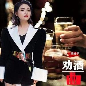 敬酒曲（DJ版）