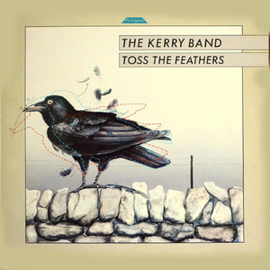 Toss the Feathers / The Rakes of Kildare