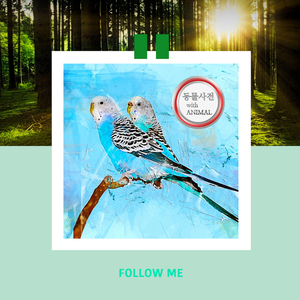 앞집에 사는 강아지 딩고라지요