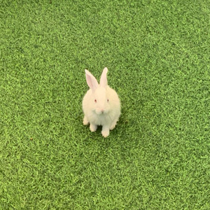 我恨我很在乎你 speedup