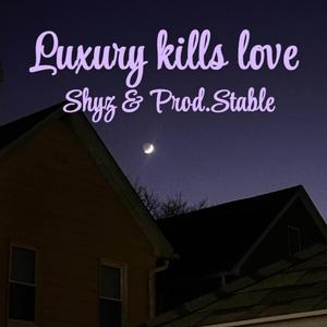 Luxury Kills Love