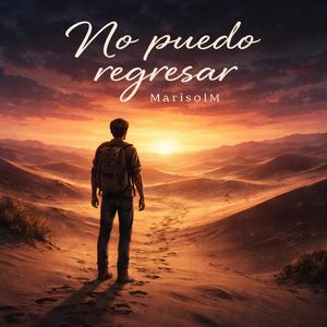 No puedo regresar