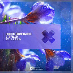 Sweet Sorrow (Extended Mix)