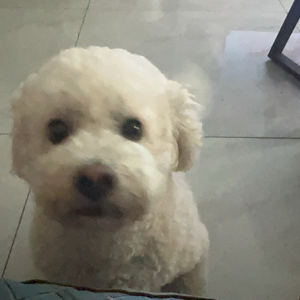 借口只是不喜欢的理由