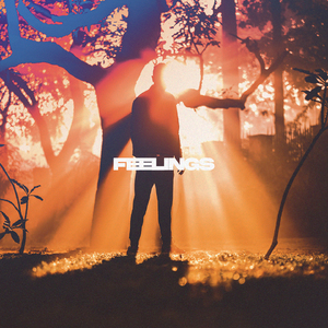 Feelings