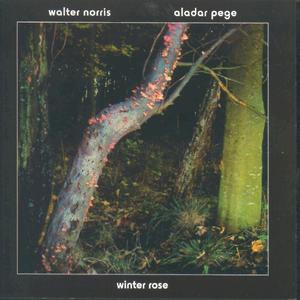 Elvesztettem Paromat