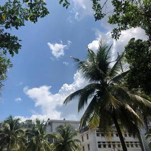 谈恋爱（翻自 王七七）