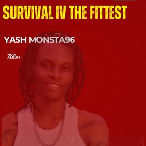 Ninjas (feat. Stero & Playboi mbarti)