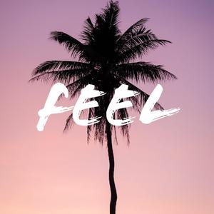 Feel