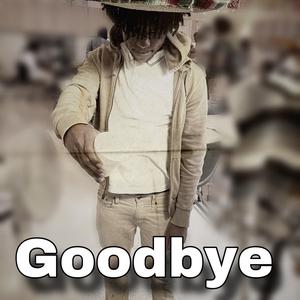 Goodbye