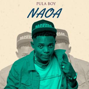 NAOA