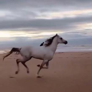 любовь（E2xaT remix）