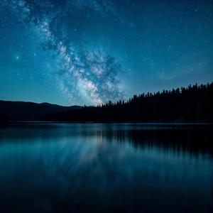 В бурю жизни