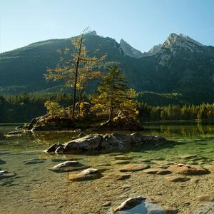 老少年 (现场版)