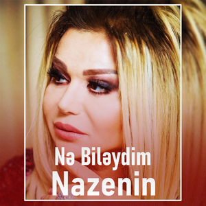 Nə Biləydim