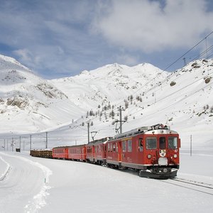 Paulun Gozlerinde Yaw